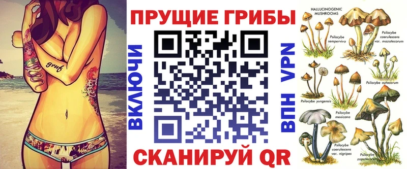 Псилоцибиновые грибы мицелий  Острогожск 