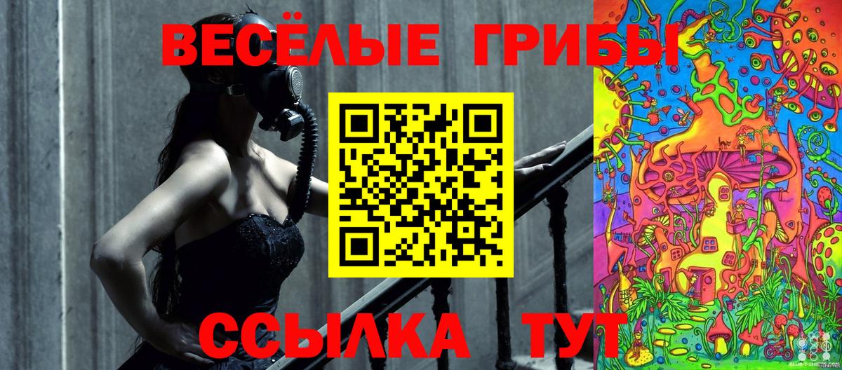 хочу   Галлюциногенные грибы MAGIC MUSHROOMS  Вход с VPN  Острогожск 