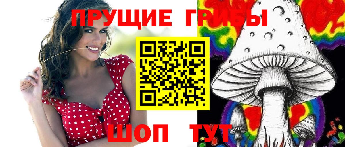Псилоцибиновые грибы Psilocybine cubensis Острогожск