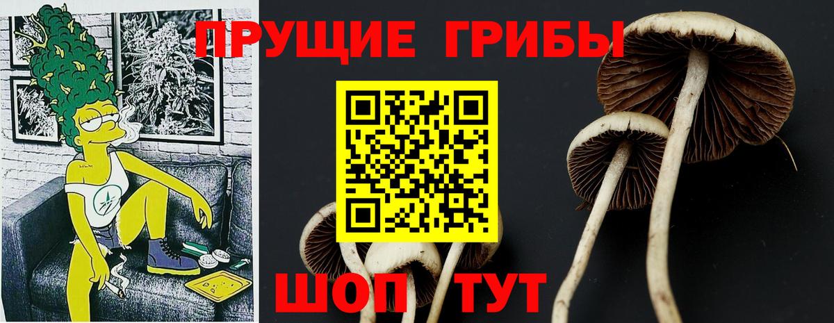 Галлюциногенные грибы мухоморы  Острогожск  Галлюциногенные грибы Cubensis 