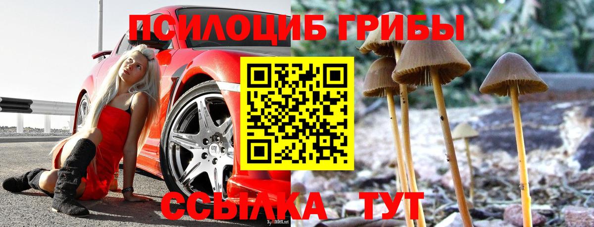 Псилоцибиновые грибы мицелий Острогожск